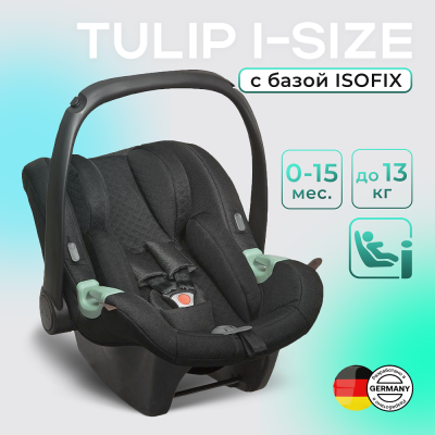 Автокресло ABC-Design Tulip i-Size + База Isofix (0-13 кг), Champagne (Черный)