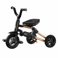 Трехколесный детский велосипед Qplay Nova Plus, Black / Gold (Черный / Золотой) - вид 20 миниатюра