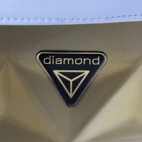 Коляска 2 в 1 Junama Diamond Mirror Satin V2, JDMSv2-06 (Белый / Матовое золото / Рама золото) - вид 53 миниатюра