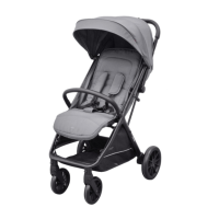 Коляска прогулочная Carrello Nero CRL-5514, Dove Grey (Серый) - вид 1 миниатюра