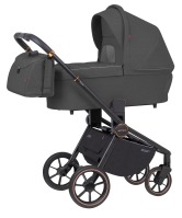 Коляска 2 в 1 Carrello Epica CRL-8510/1 / 2023, Iron Grey (Серый) - вид 1 миниатюра