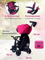 Трехколесный детский велосипед Qplay Nova Plus 2024, Floral Pink (Розовый) - вид 5 миниатюра