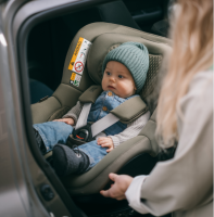 Автокресло Britax Roemer Dualfix 5Z Lux Collection (0-18 кг), Soft Taupe (Бежевый) - вид 18 миниатюра