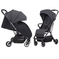 Коляска прогулочная Carrello Nova CRL- 5521, Misty Grey (Серый) - вид 3 миниатюра