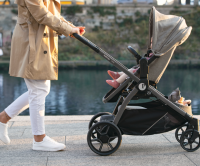 Люлька Peg-Perego Bassinet для коляски Ypsi, Mercury (Серый) - вид 13 миниатюра