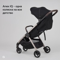 Коляска 3 в 1 Anex iQ Premium New, Smoky / Черный (iQ-06-NT) - вид 58 миниатюра