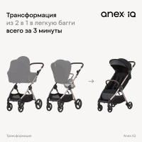 Коляска 2 в 1 Anex iQ Premium New, Smoky / Черный (iQ-06-NT) - вид 18 миниатюра