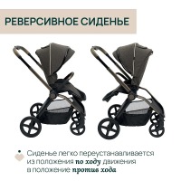 Коляска 2 в 1 Chicco Mysa, Bronze Lizard Re Lux (Коричневый) - вид 5 миниатюра