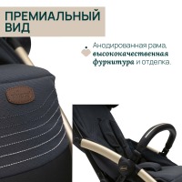 Коляска прогулочная Chicco XPlus, Dark Shadow (Серый) - вид 21 миниатюра