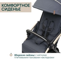 Коляска прогулочная Chicco XPlus, Dark Shadow (Серый) - вид 11 миниатюра