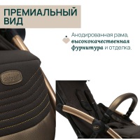 Коляска прогулочная Chicco XPlus, Bronze Lizard Re Luxe (Коричневый) - вид 21 миниатюра