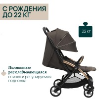 Коляска прогулочная Chicco XPlus, Bronze Lizard Re Luxe (Коричневый) - вид 9 миниатюра