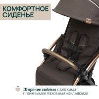 Коляска прогулочная Chicco XPlus, Bronze Lizard Re Luxe (Коричневый) - вид 11 миниатюра