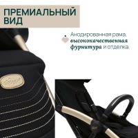 Коляска прогулочная Chicco XPlus, Black Re Lux (Черный) - вид 21 миниатюра