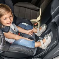 Автокресло Britax Roemer Dualfix i-Size (0-18 кг), Black Ash (Пепельный) - вид 7 миниатюра