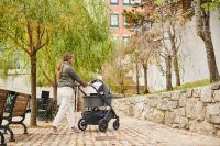 Люлька для коляски Uppababy Cruz и Vista, Greyson (Графитовый Меланж) - вид 1 миниатюра